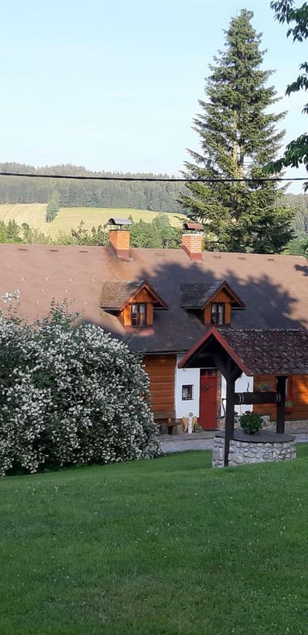 Ubytování Monika Paseky nad Jizerou Exteriér fotografie