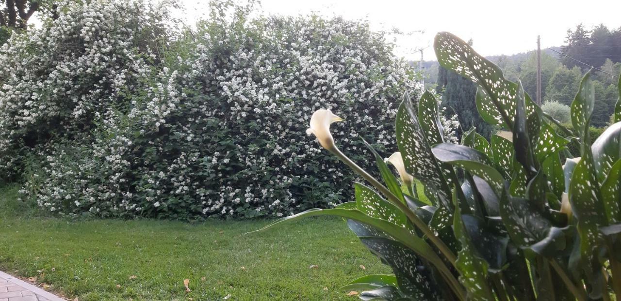 Ubytování Monika Paseky nad Jizerou Exteriér fotografie